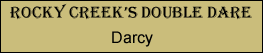 Darcy |  Rocky Creek Bernese Mountain Dogs